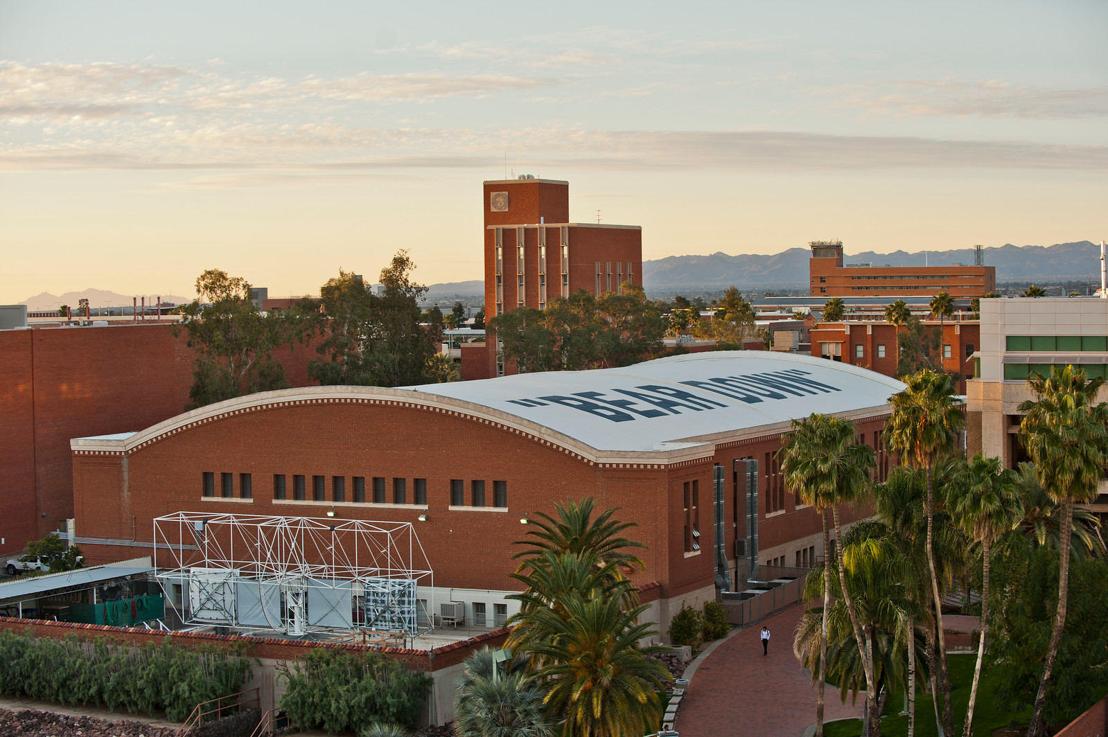 La Universidad De Arizona Estudios Facultat De Química Urv